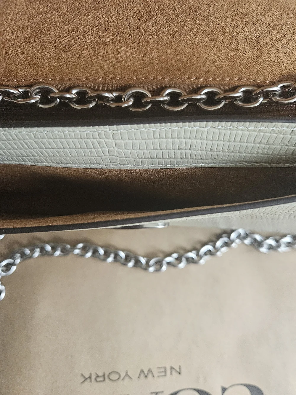 Coach Eliza Flap Crossbody Bag Silver / Pale Green CR106